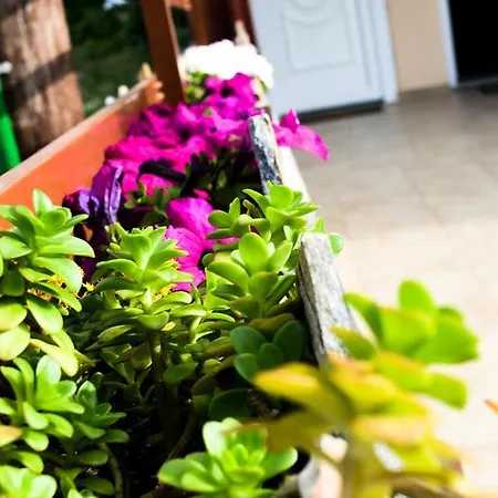 Appartement Antigone View